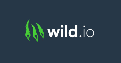 Wild.io Casino Review